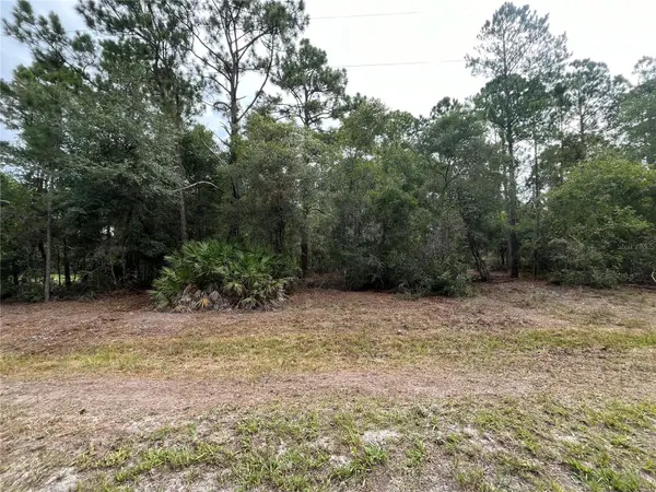 124 GLENSIDE ST, Georgetown, FL 32139