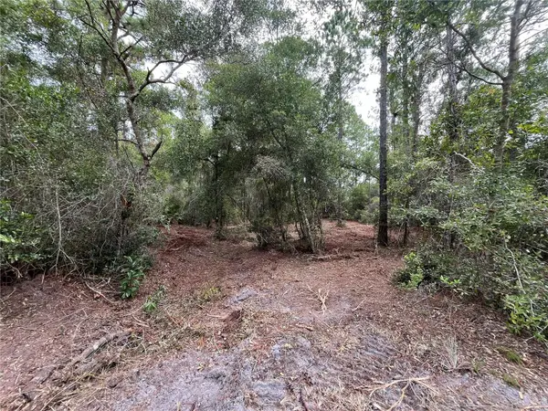 124 GLENSIDE ST, Georgetown, FL 32139