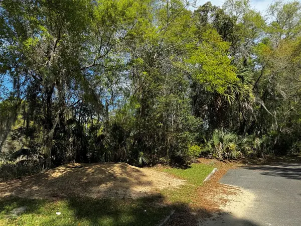 NE 4TH CT, Ocala, FL 34479