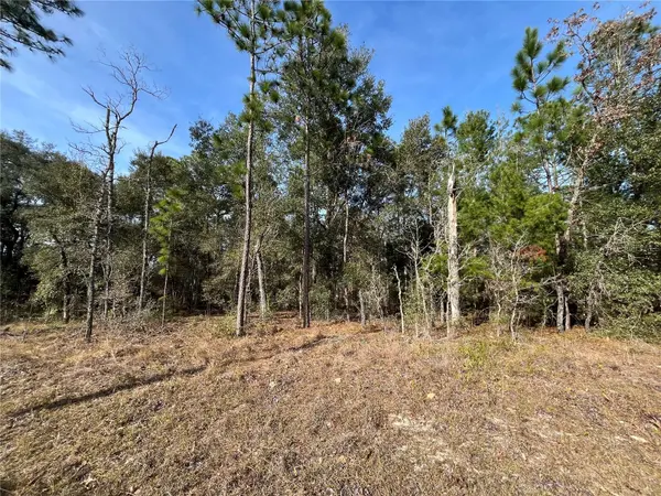 6168 EMORY AVE, Keystone Heights, FL 32656