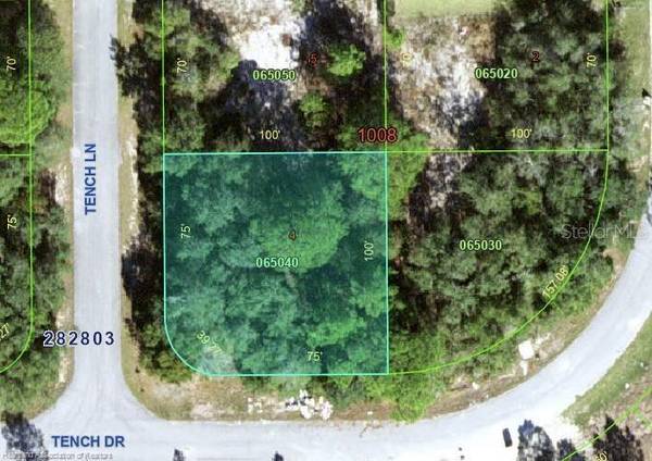 1705 TENCH LN, Kissimmee, FL 34759