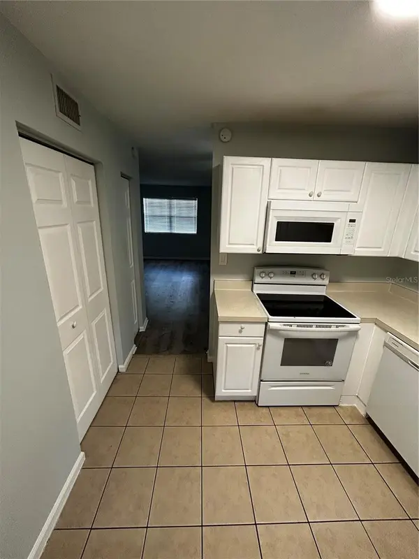 201 PINE VIOLET CT #201, Tampa, FL 33612