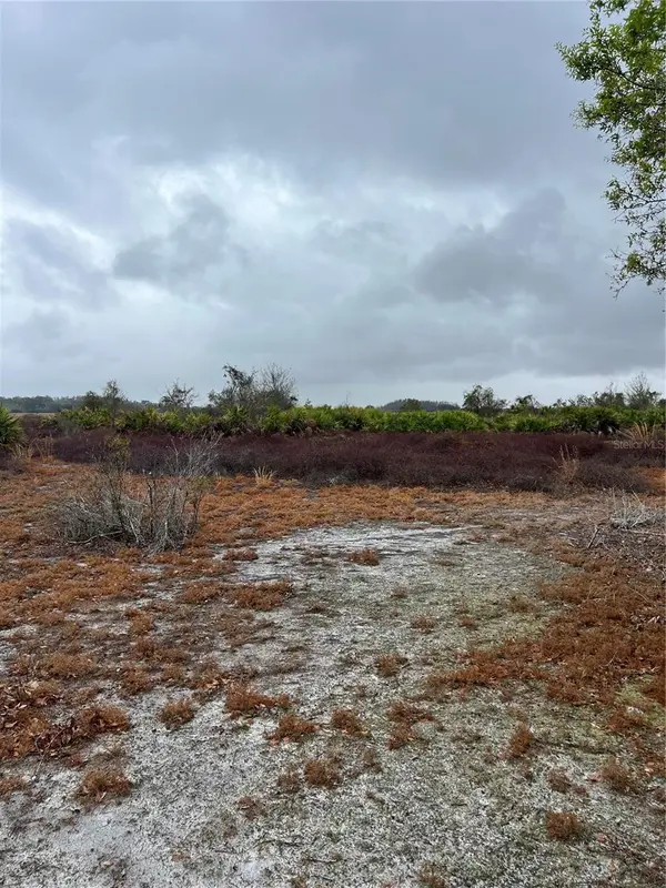 1137 HOPKINS LN, Zolfo Springs, FL 33890