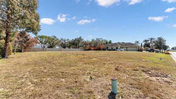 4410 EMERALD PALMS LN, Winter Haven, FL 33884