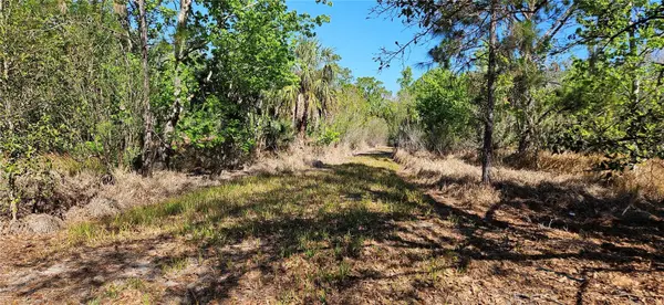 6336 TIMBERLANE RD, Lake Wales, FL 33898
