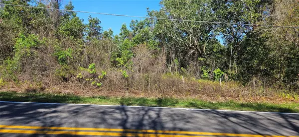 TIMBERLANE RD, Lake Wales, FL 33898