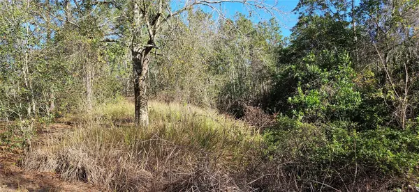 Address not disclosed, Lake Wales, FL 33898