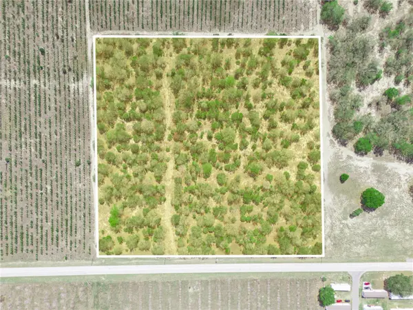 FRIEDLANDER RD, Babson Park, FL 33827