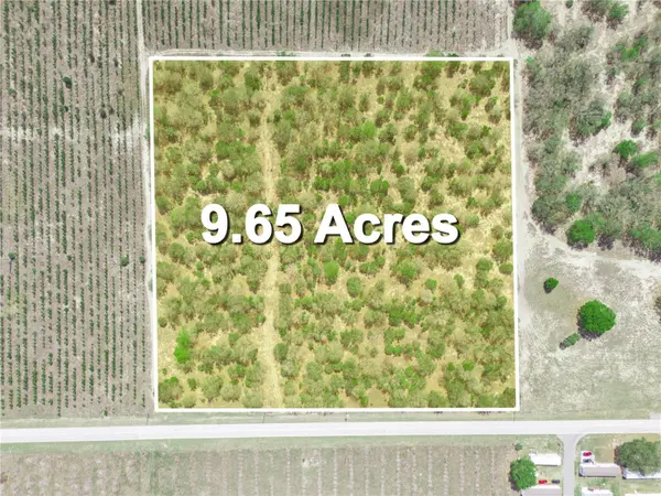 FRIEDLANDER RD, Babson Park, FL 33827