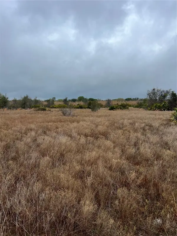 1137 HOPKINS LN, Zolfo Springs, FL 33890