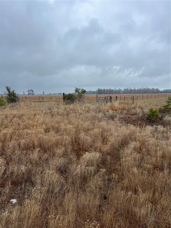 1137 HOPKINS LN, Zolfo Springs, FL 33890