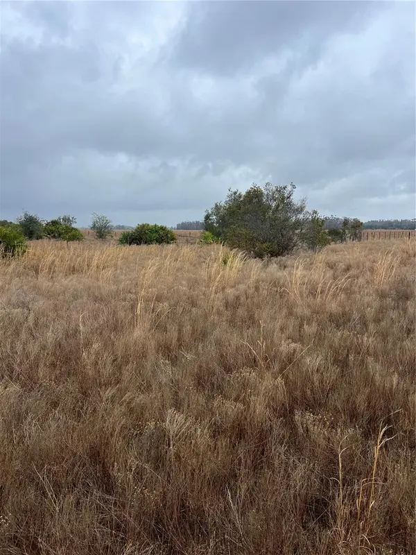 1137 HOPKINS LN, Zolfo Springs, FL 33890