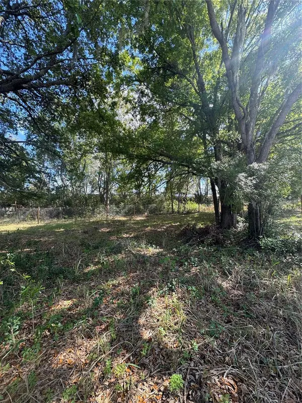 0 DENMARK ST, Bartow, FL 33830