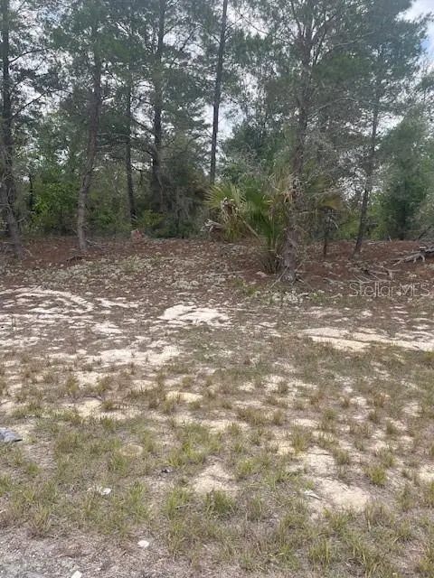 1342 HOMOSASSA DR, Poinciana, FL 34759