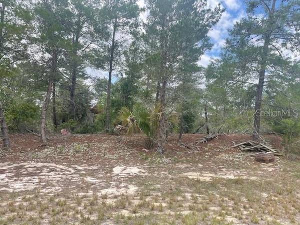 1342 HOMOSASSA DR, Poinciana, FL 34759