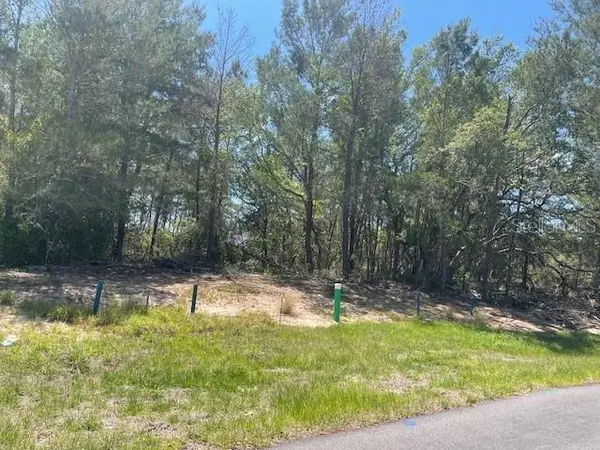 1342 HOMOSASSA DR, Poinciana, FL 34759