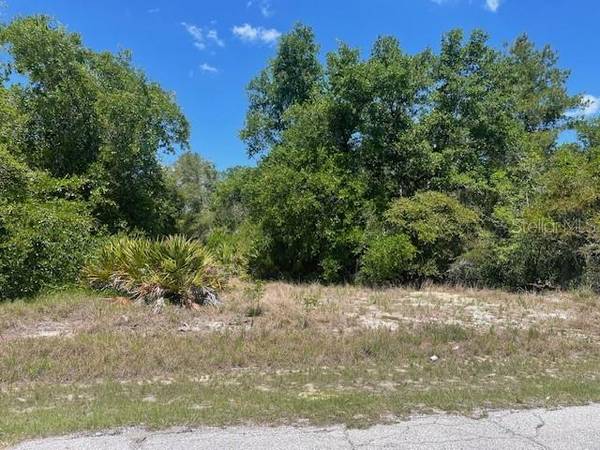 KISSIMMEE WAY, Poinciana, FL 34759