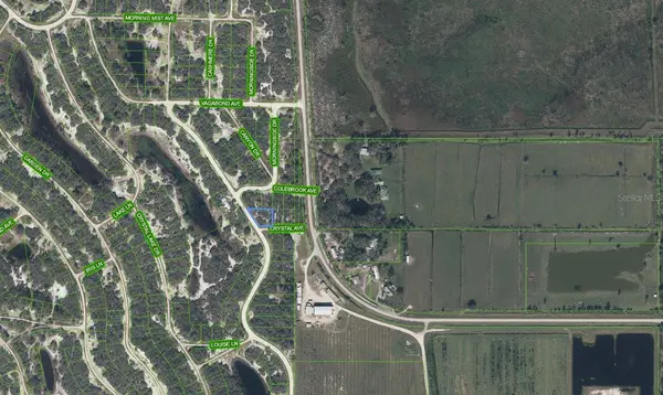 229 LAKELAND DR, Lake Placid, FL 33852