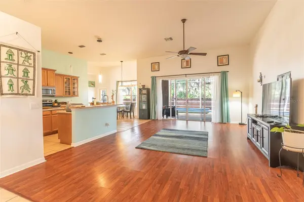 2539 CENTENNIAL FALCON DR, Valrico, FL 33596
