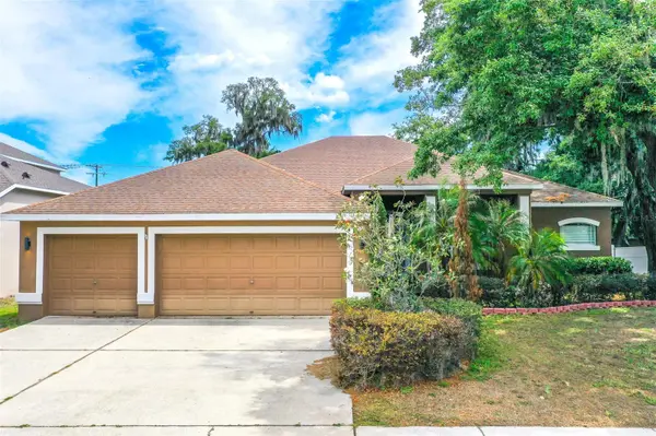 2539 CENTENNIAL FALCON DR, Valrico, FL 33596