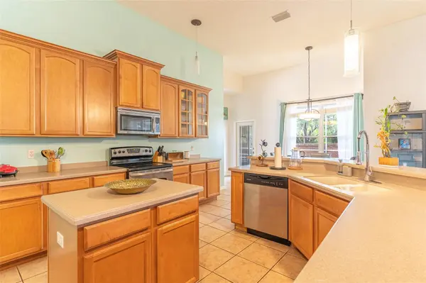 2539 CENTENNIAL FALCON DR, Valrico, FL 33596