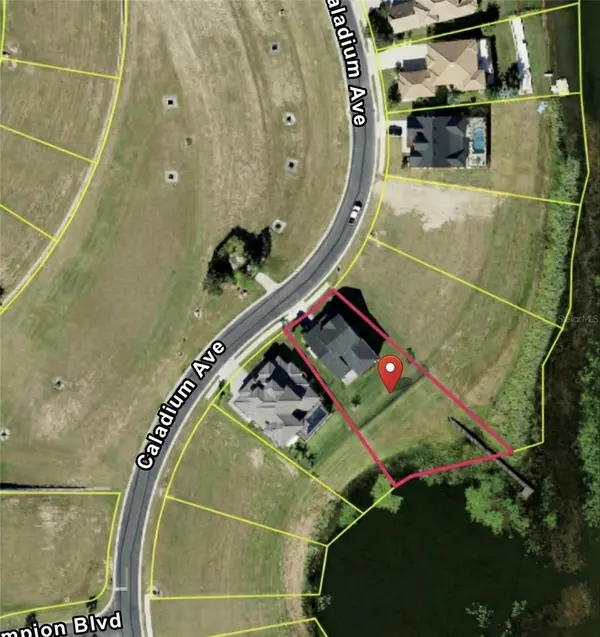 236 CALADIUM AVE, Lake Alfred, FL 33850