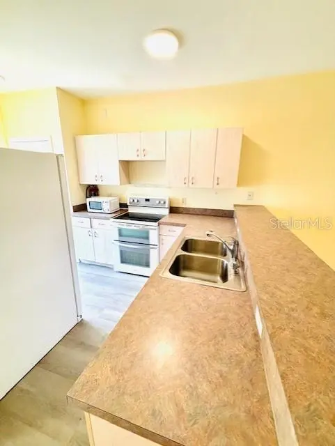 14201 INDIAN CREEK DR #14201, Kissimmee, FL 34759