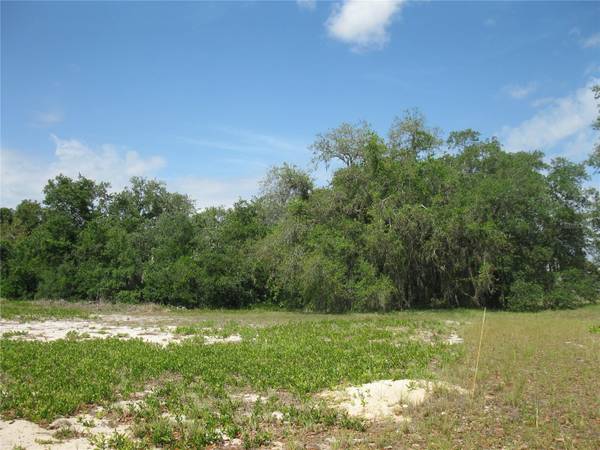 4199 JACARANDA DR, Lake Wales, FL 33898