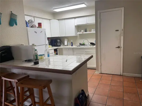 3008 SKYVIEW DR, Lakeland, FL 33801