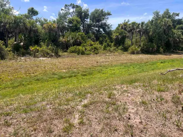 163 MARINER LN, Rotonda West, FL 33947