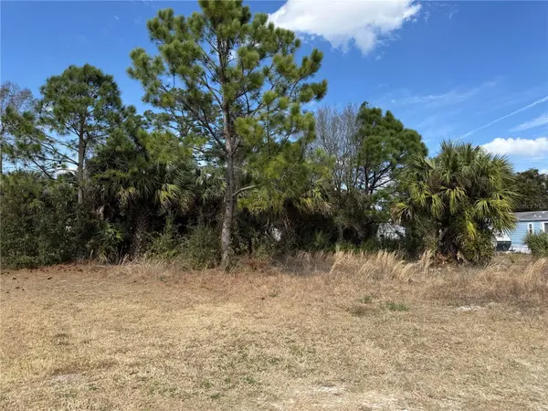 1069 MASSEY RD, New Smyrna Beach, FL 32168