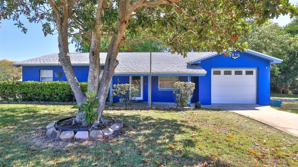 1915 UMBRELLA TREE DR, Edgewater, FL 32141