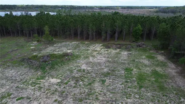 16865 SE 27TH PLACE RD, Ocklawaha, FL 32179