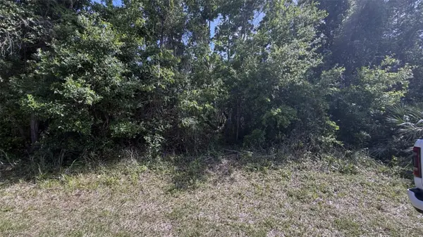 0.5 WASHINGTON ST, New Smyrna Beach, FL 32168