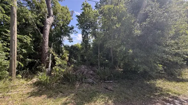 0.5 WASHINGTON ST, New Smyrna Beach, FL 32168
