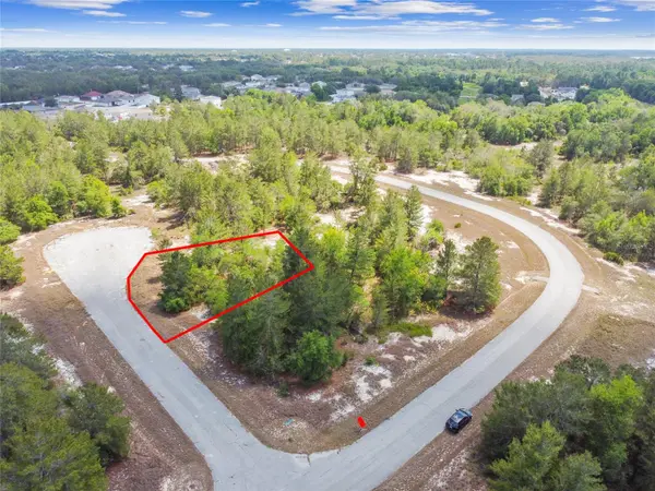 602 HOMOSASSA WAY, Kissimmee, FL 34759