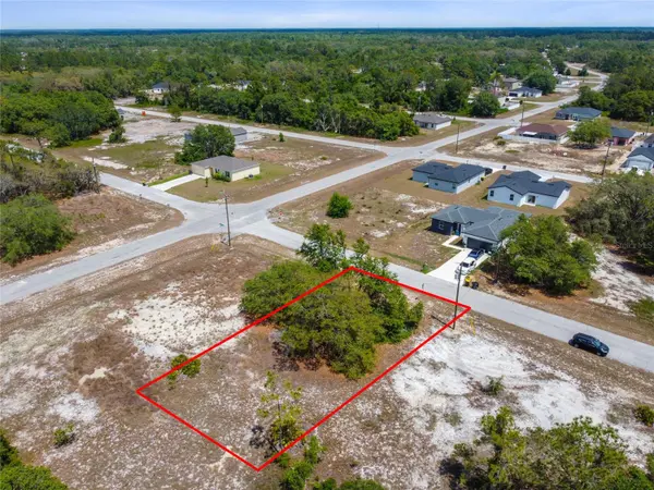 1344 HILLSBOROUGH CT, Kissimmee, FL 34759
