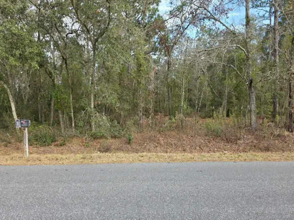 SW 140TH CT, Ocala, FL 34481