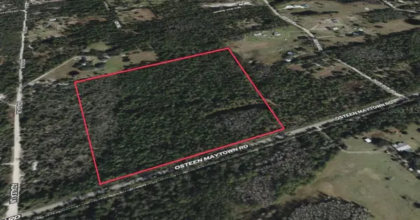 0 OSTEEN MAYTOWN RD, Osteen, FL 32764