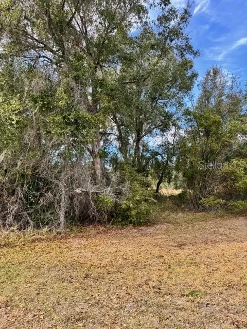 195 LAKE MOLLY AVE, Deland, FL 32724