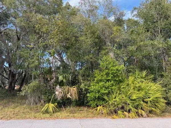 195 LAKE MOLLY AVE, Deland, FL 32724