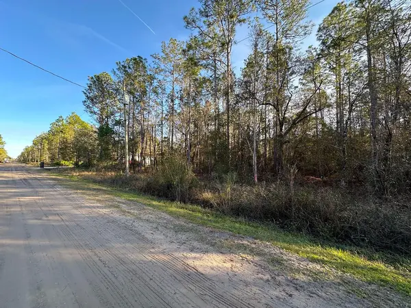 Lot 428 DIVISION ST, Hastings, FL 32145