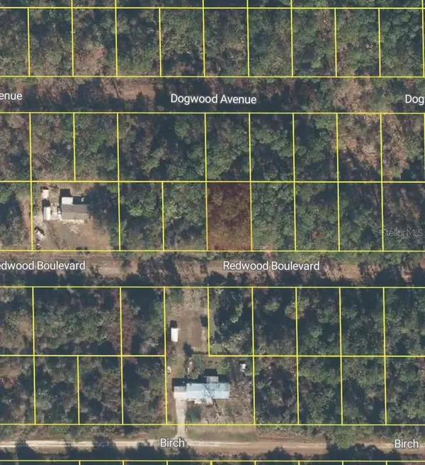 318 REDWOOD BLVD, Georgetown, FL 32139