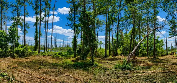 MELSHIRE AVE, Deltona, FL 32738
