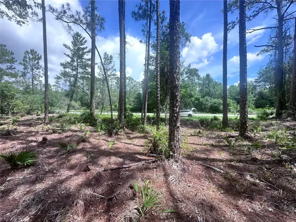 107 S GEORGETOWN POINT RD, Georgetown, FL 32139