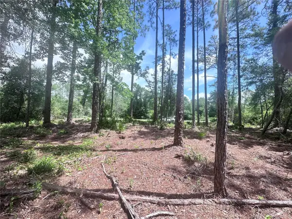 107 S GEORGETOWN POINT RD, Georgetown, FL 32139