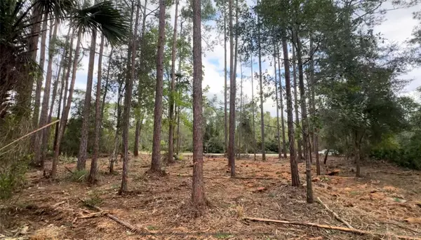 107 S GEORGETOWN POINT RD, Georgetown, FL 32139