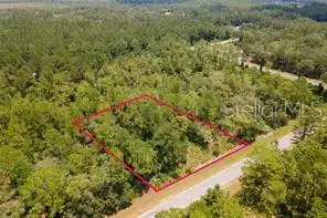 SAFFRON AVE, Eustis, FL 32736