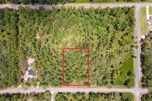 SAFFRON AVE, Eustis, FL 32736