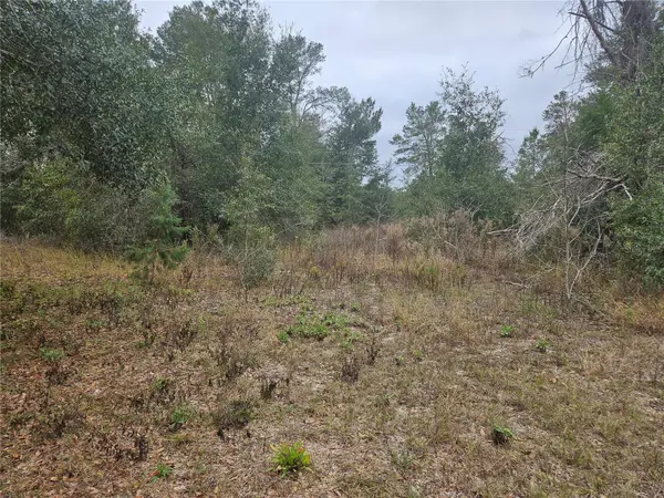 SE HIGHWAY 42, Weirsdale, FL 32195